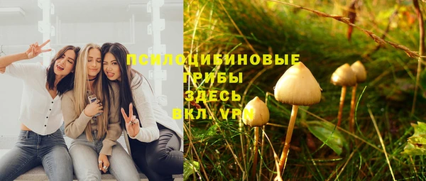 прущие крисы Алексеевка