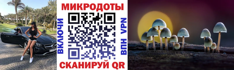 Псилоцибиновые грибы MAGIC MUSHROOMS Томмот