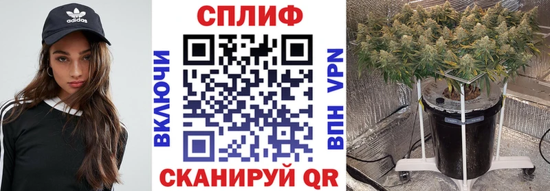 МАРИХУАНА план  закладки  Томмот 